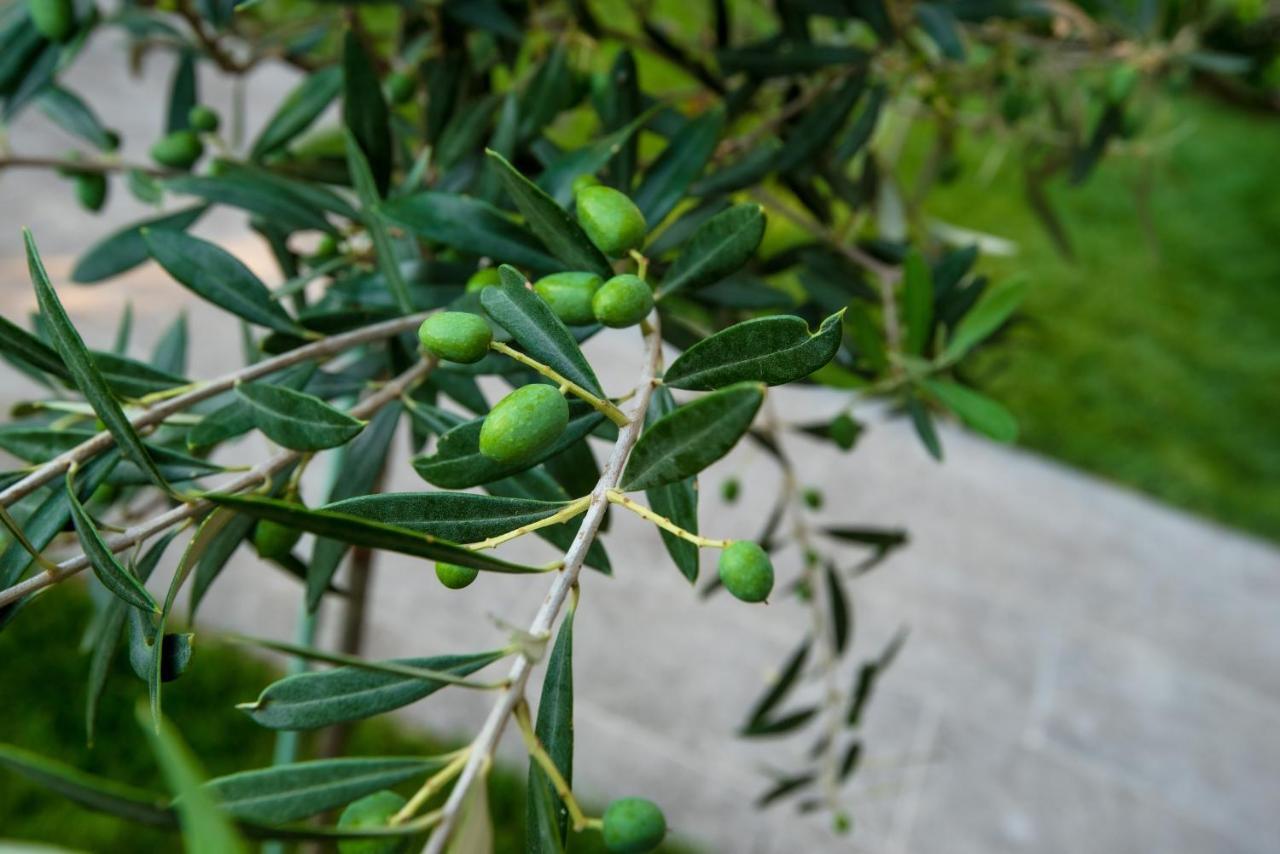 شقة Olive 101 Peraía المظهر الخارجي الصورة